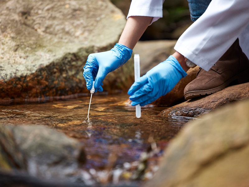 taking a water sample from a creek